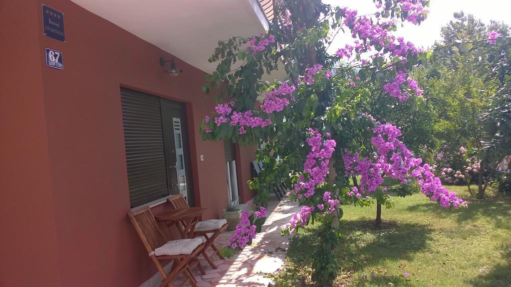 Apartamento Dadule *